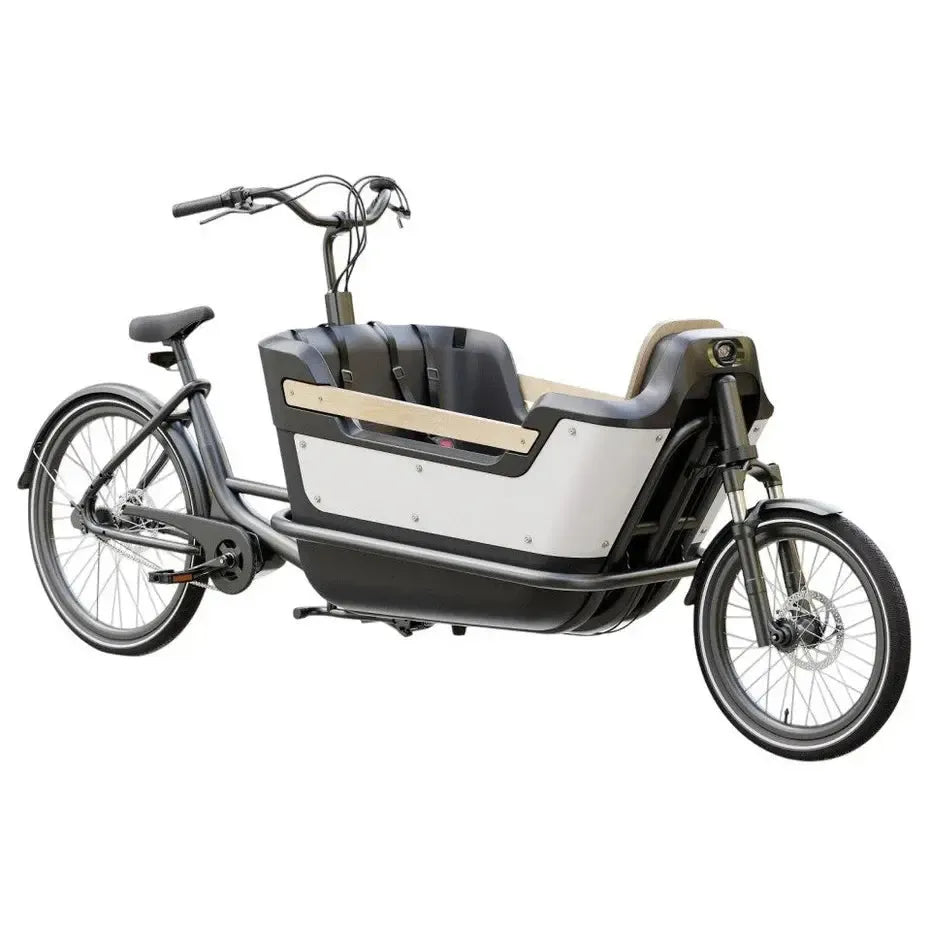 Royal Cargo Bike 2W Premium - Groen