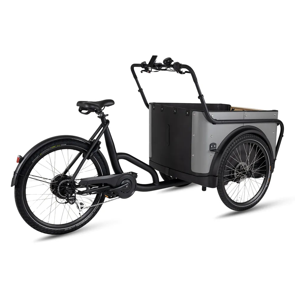 Royal Cargo Bike 3W Eco - Grijs