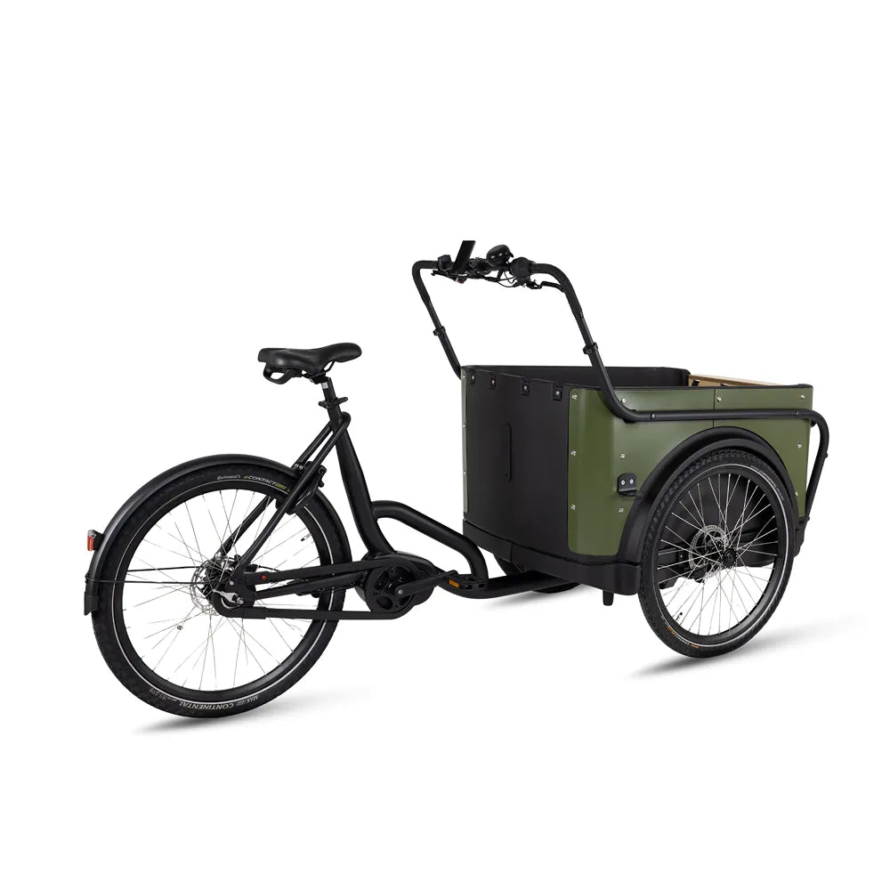 Royal Cargo Bike 3W Premium - Groen