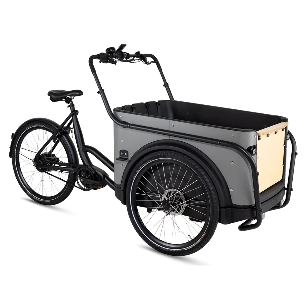 Royal Cargo Bike 3W Premium Plus - Taupe grijs