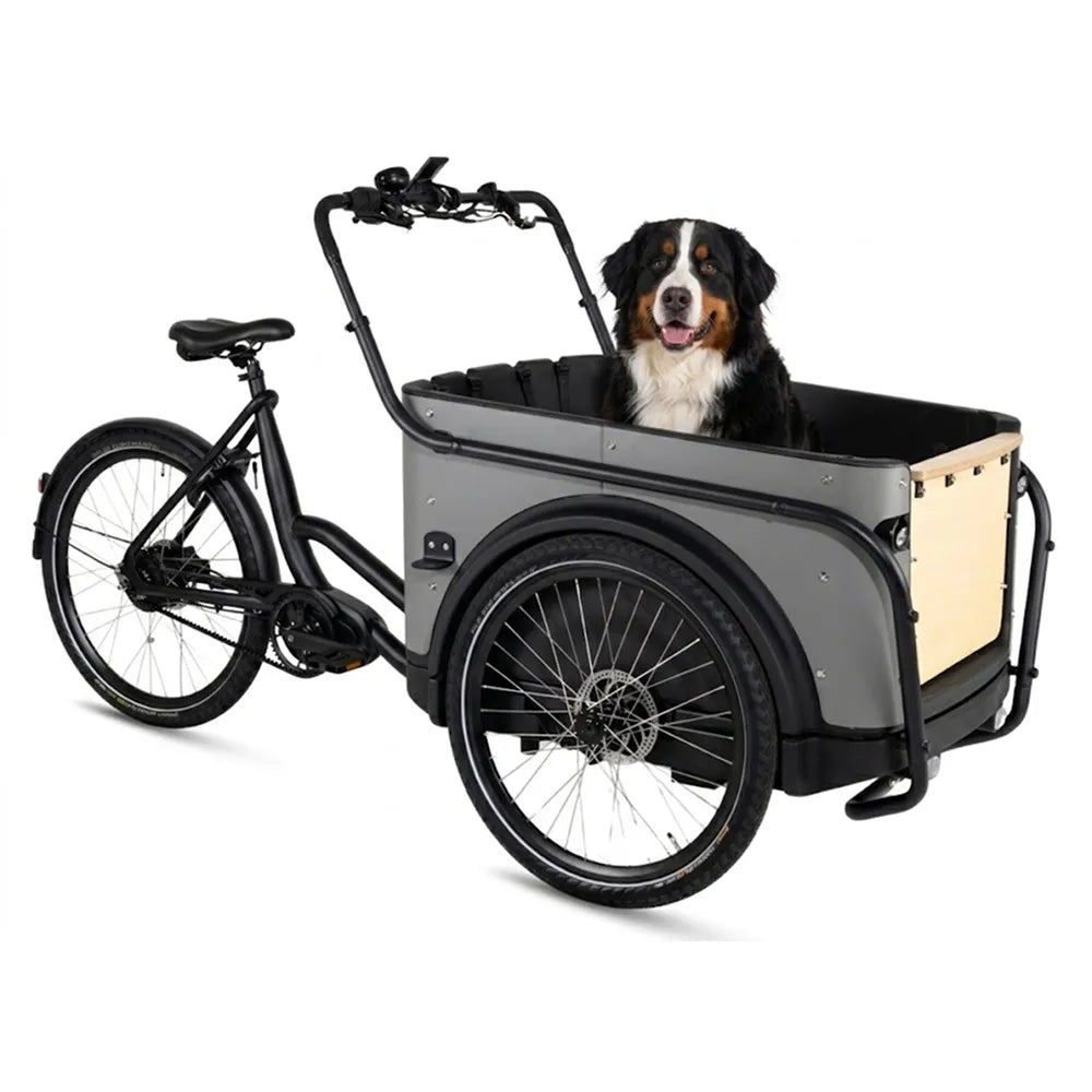Royal Cargo Bike 3W Premium Plus - Taupe grijs