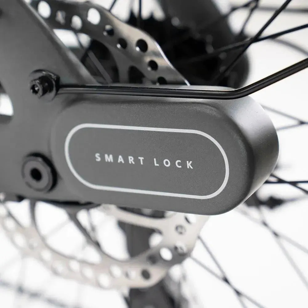 ENGWE Mapfour N1 Pro - Grijs