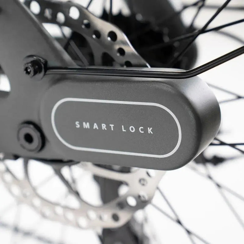 ENGWE Mapfour N1 Pro - Grijs