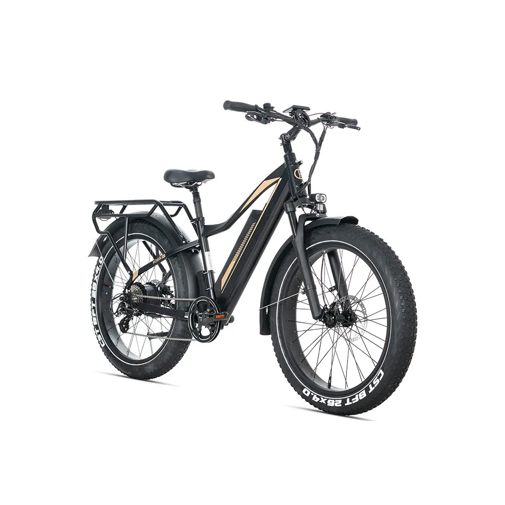 JOBOBIKE Robin Pro - Zwart-goud