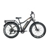 JOBOBIKE Robin Pro - Zwart-goud