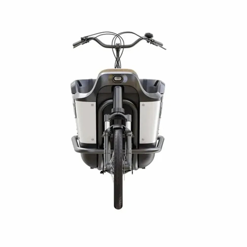 Royal Cargo Bike 2W Premium - Groen
