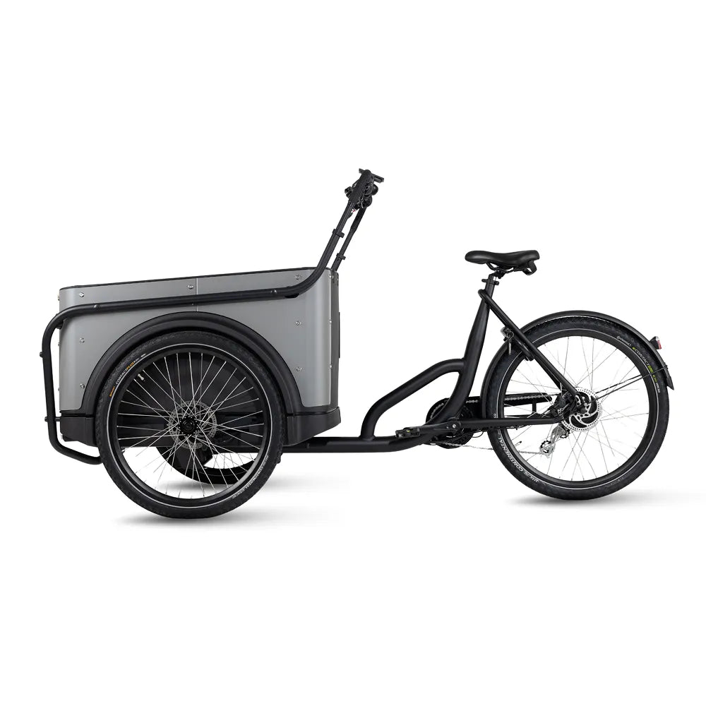 Royal Cargo Bike 3W Eco - Grijs