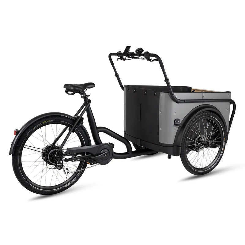 Royal Cargo Bike 3W Eco - Grijs