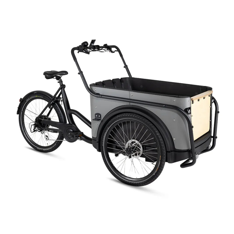 Royal Cargo Bike 3W Eco - Grijs