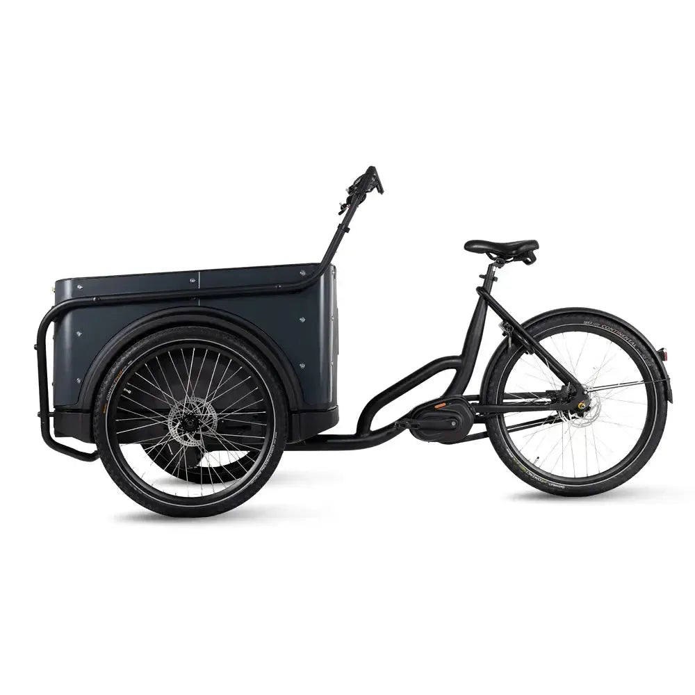 Royal Cargo Bike 3W Premium - Antraciet