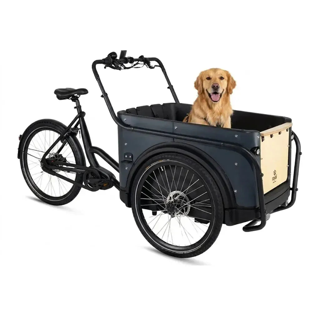 Royal Cargo Bike 3W Premium - Antraciet