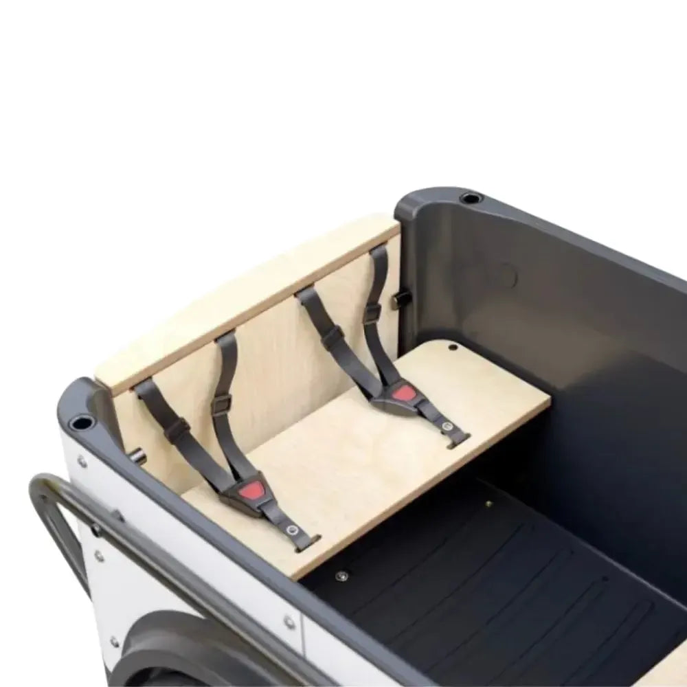 Royal Cargo Bike 3W Eco - Groen