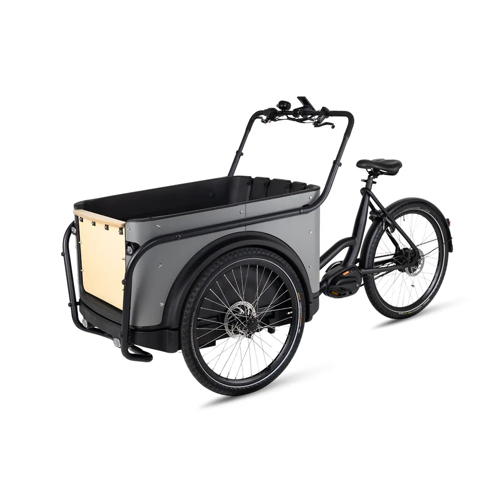 Royal Cargo Bike 3W Premium Plus - Taupe grijs