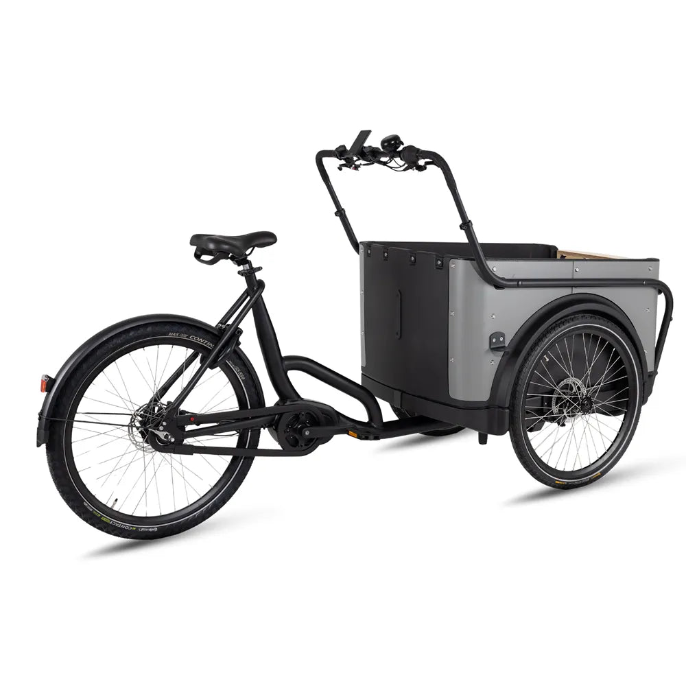 Royal Cargo Bike 3W Premium - Taupe